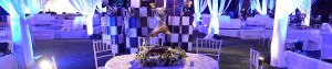 theme Party Planner Udaipur