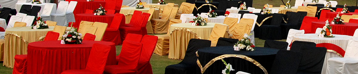 Best Wedding Planner Udaipur